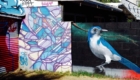 Phoenix street art and graffiti